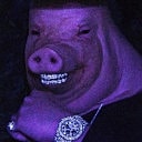 Smiling pig with accessories in purple lighting