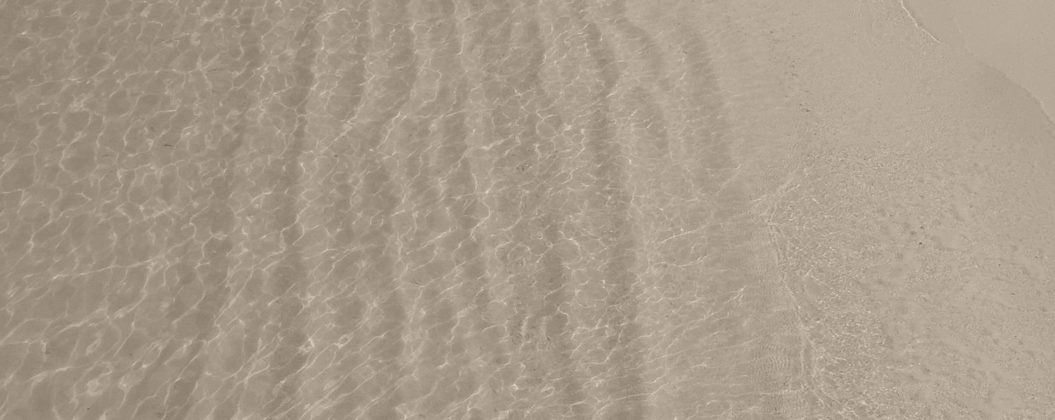 Plan Your Visit image